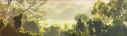 jungle scene